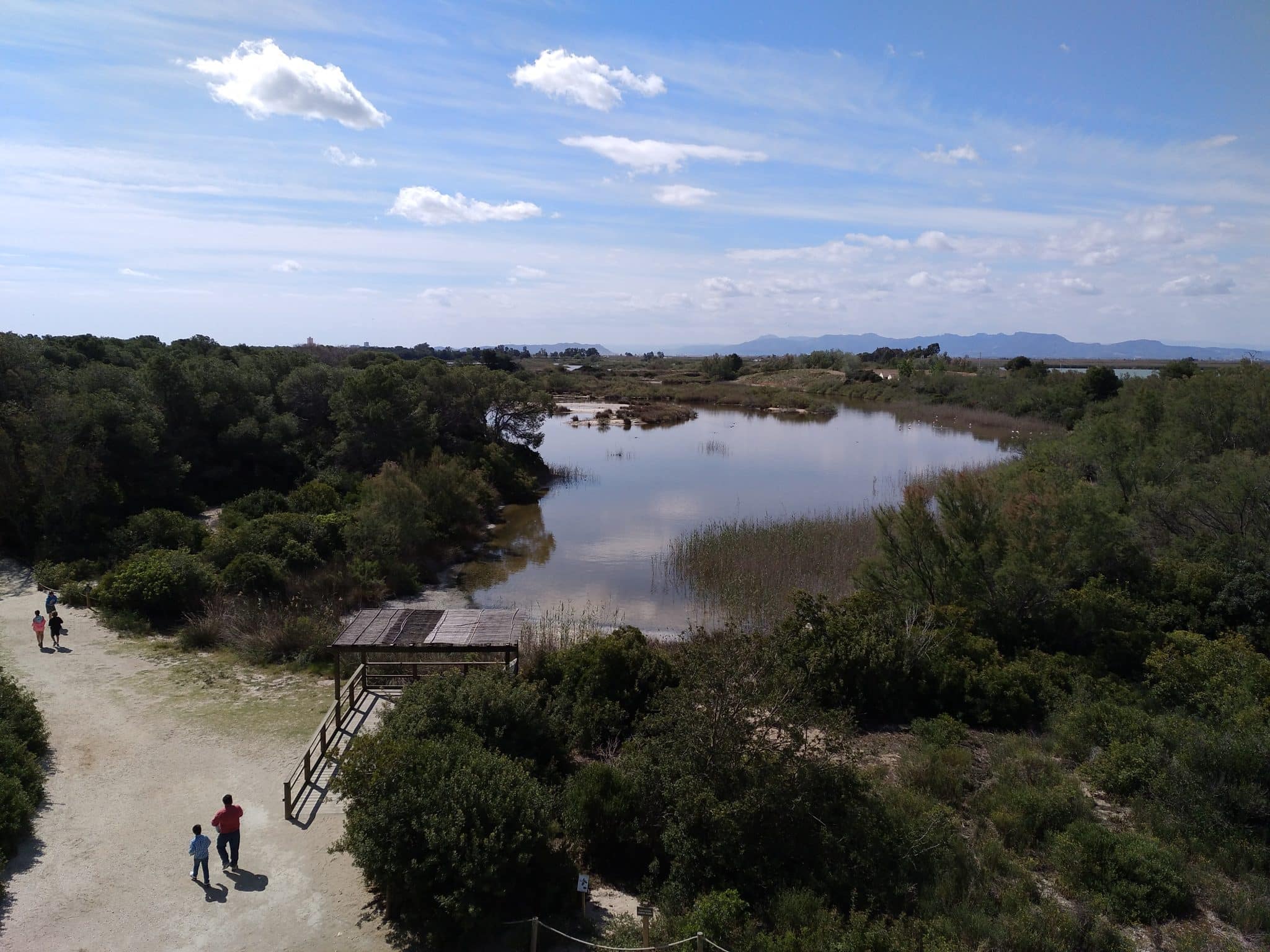 Valencia apuesta por un gemelo digital para L’Albufera