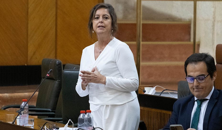 Aidea, la plataforma andaluza de gestión de información ambiental y geoespacial