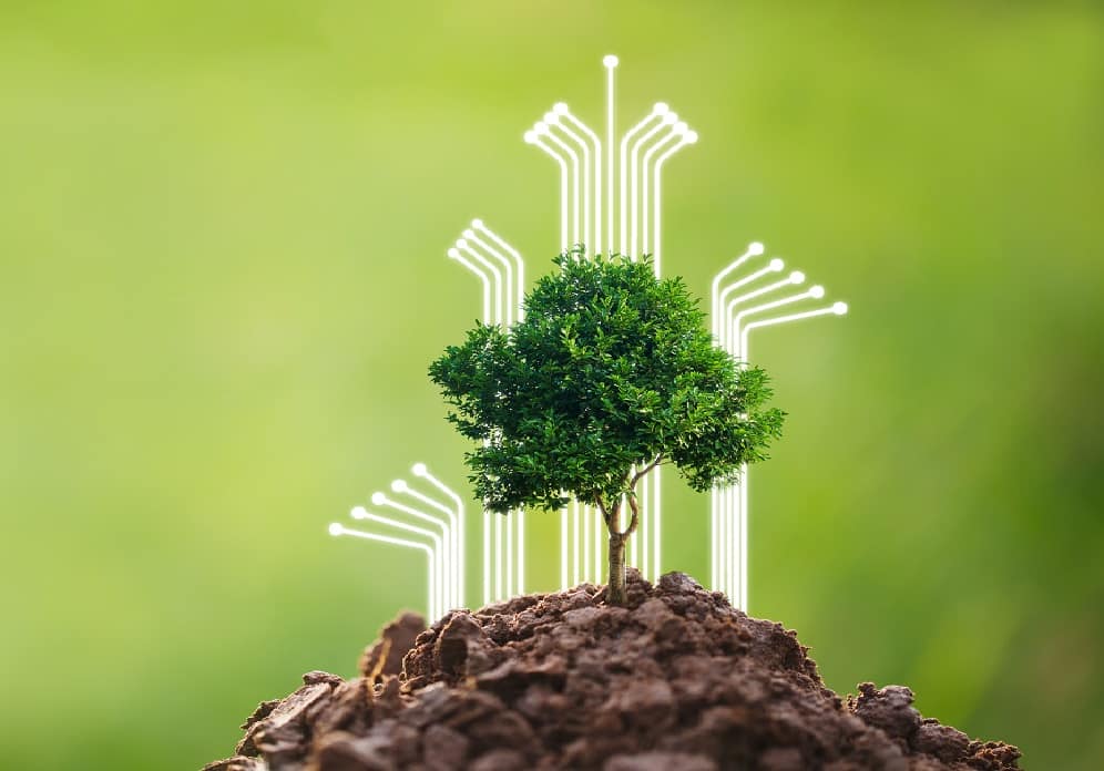 AAPP más sostenibles